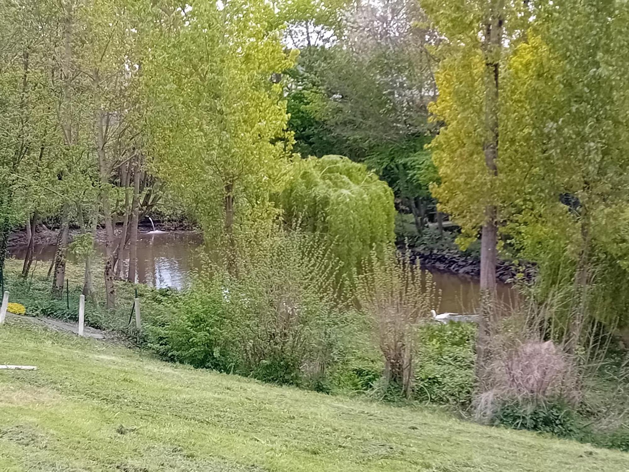 Maison Au Coeur De La Nature Cerisy-la-Foret Buitenkant foto